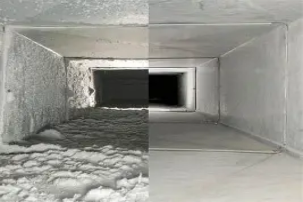 img (1)